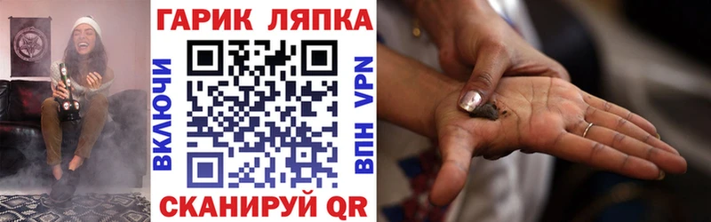 ГАШ hashish  Купить  Сокол 